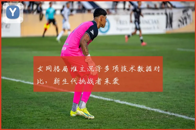 女网格局谁主沉浮多项技术数据对比，新生代挑战者来袭